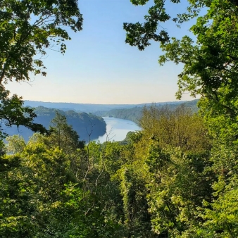 A peak view of the river and trees (Instagram@ess_rich)