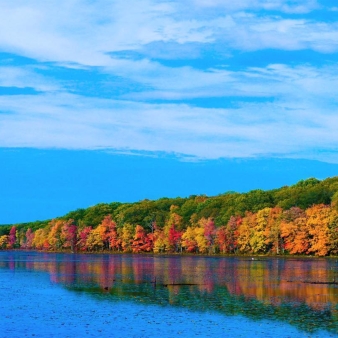 Water reflecting fall trees and sky (Instagram@t_im)