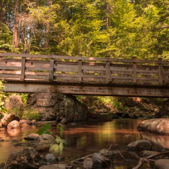 A wooden bridge over a stream in the forest (Flickr@chie-madeloso)