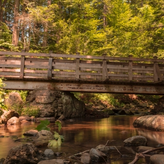 Un puente de madera sobre un arroyo en el bosque (Flickr@chie-madeloso)