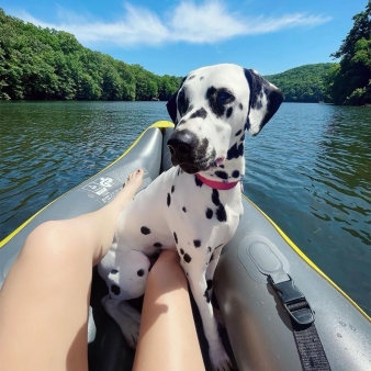 Una mujer con un perro en un kayak en el lago (Instagram@dalmdream)