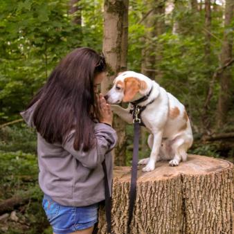 A woman gives high five to her dog that is sitting on a tree stump (Instagram@jenny_creates)