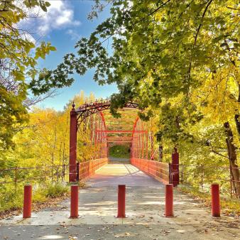 A view of a red bridge in the sun with trees (Instagram CTVisit)