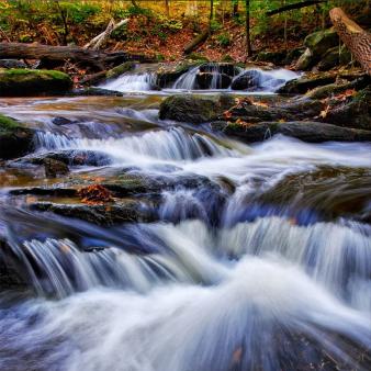 Agua cayendo sobre rocas en un río en el bosque (Instagram@koheinakamura)