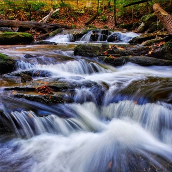 Water falling over rocks in a river in the woods (Instagram@koheinakamura)