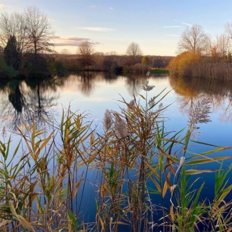 A view of still water surrounded by trees (Instagram@hooliephotos)