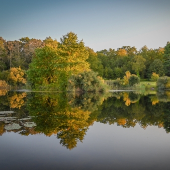 Still water reflecting fall trees and sky (Flickr@EllenF)