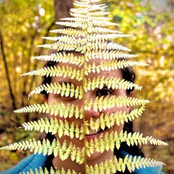 Woman holding ferns in front of her face in Mashamoquet State Park (Instagram@saucier.shots_)