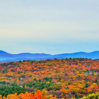 Una hermosa escena de follaje de otoño con montañas azules en la distancia (Flickr@BethG)