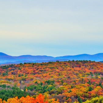 A beautiful scene of fall foliage with blue mountains in the distance (Flickr@BethG)