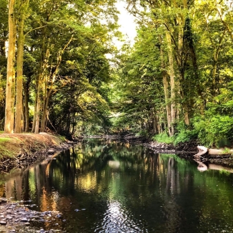 A view down a river in the woods (Instagram@upstreamflyfisherman)