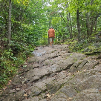 Un hombre escalando rocas en el bosque (Instagram@bethjfransisco)