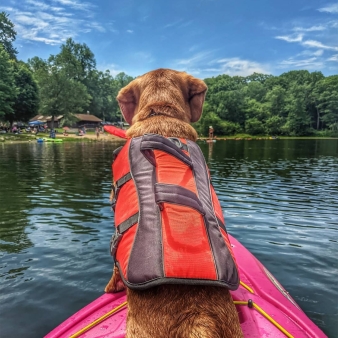 Un perro haciendo kayak (Instagram@bean_sprout928)