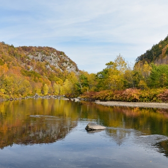 Una vista del río y los árboles caídos.