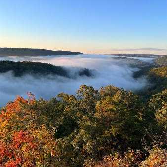 An aerial view of fog over autumn trees (Instagram@jizzo01)