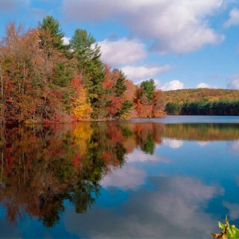 A pond reflecting fall trees and sky (Instagram@bellemarematt)