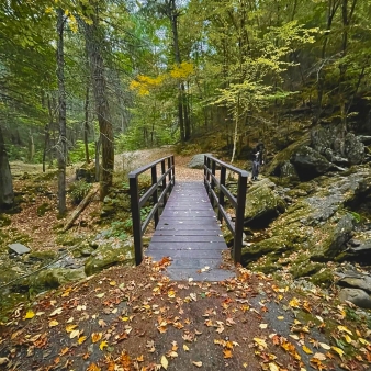 A bridge in the woods (Instagram@shinyydaysss)