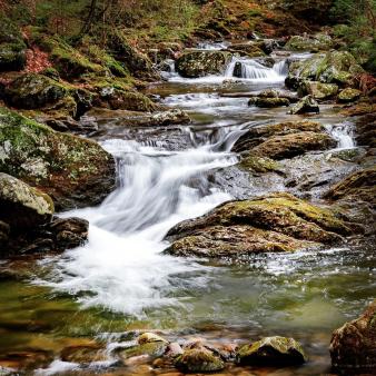 Un arroyo que fluye sobre rocas en el bosque (Instagram@chrisreillyphoto)