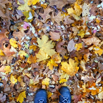 Botas de montaña con hojas de otoño (Instagram@beth_scanion)