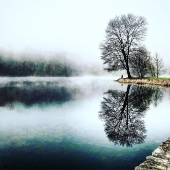 Niebla invernal en el lago (Instagram@thepatriciaclark)