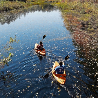 Friends paddling down stream in Pachaug State Forest (Instagram@thedayct)