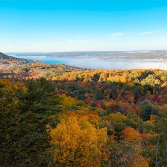 Una vista desde lo alto de una montaña de las copas de los árboles en otoño (Instagram@isthierc)