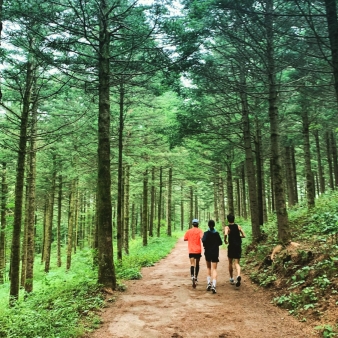 Team trail running through Peoples State Forest (Instagram@peterslowslow)