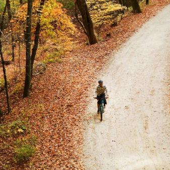 A man biking down a path in the fall (Instagram@bears.beets_.bikes_)