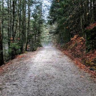 Un camino por el bosque (Instagram@heyitsmeav)