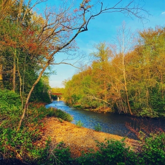 A river runs through fall trees (Instagram@deppinlove)