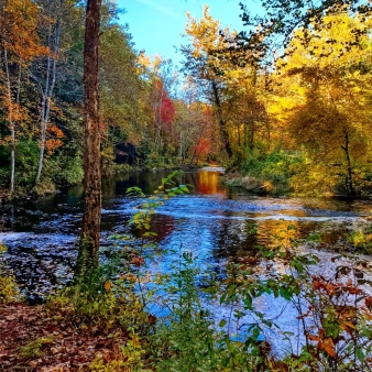 A river through the trees in fall (Instagram@lizardwest)