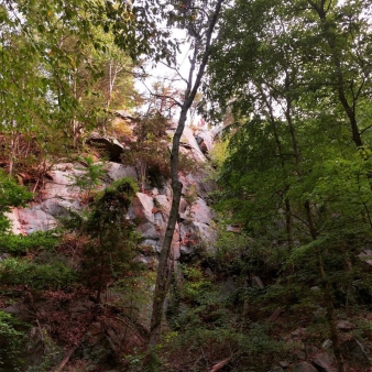 a large wall of rock in the woods (Instagram@j_ball124)