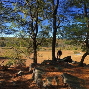 Un hombre parado sobre rocas en el bosque con vista al paisaje (Instagram@lymelandtrust)