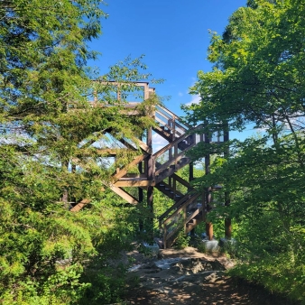 A wooden tower in the woods (Instagram@toddshiveley)