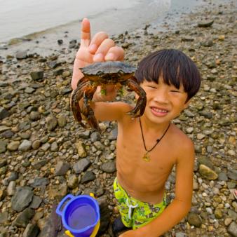 Crabbing along beach at Sherwood Island State Park