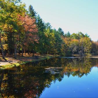Stratton Brook Pond en otoño (Flickr@John-Murphy)