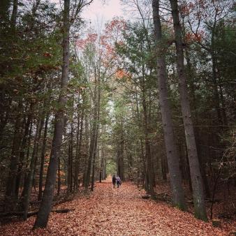 Two people walking on path at Stratton Brook (Instagram@febnaba)