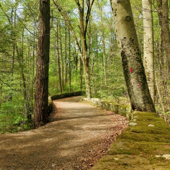 Hiking path at Wadsworth Falls (Instagram@alexjwphotography)