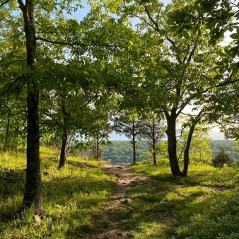 Sendero verde en West Rock Ridge (Instagram@eatswords)