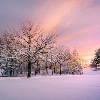 Wharton Brook winter scene (Instagram@RomyLee)