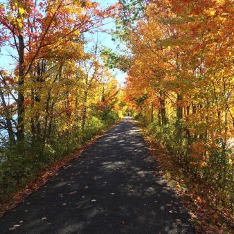 Biking path in fall at Windsor Locks Canal (Instagram@michaelreinemann)