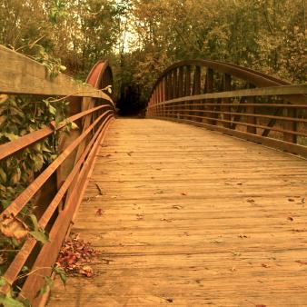 Bridge at Windsor Meadows State Park (Flickr@PJD-DigiPic)