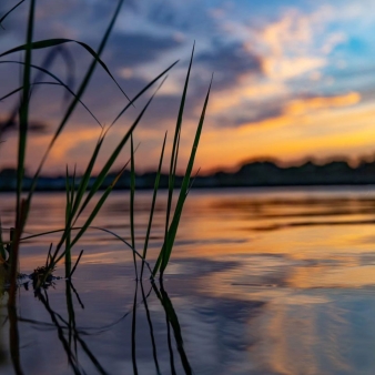 Portrait of waterfront at Bluff Point at sunset (Instagram@atlasandashley)