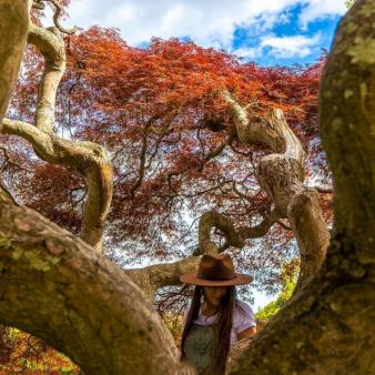 Retrato de mujer en árboles en Harkness Memorial (Instagram@hotzzzphotography)