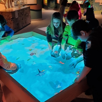 Kids playing with dinosaur display lit up