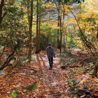 Woman hiking through woods at Black Rock State Park (Instagram@meganrosehff)