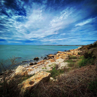 Toma de la costa a lo largo del Parque Estatal Bluff Point (Instagram@photos-by-jess)