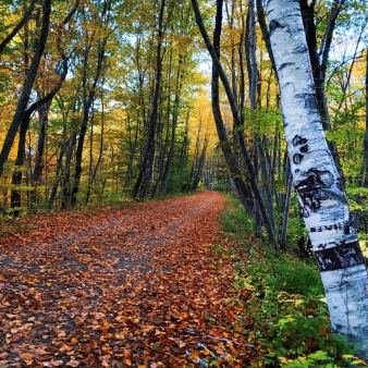 Caminata de otoño de Bolton Notch