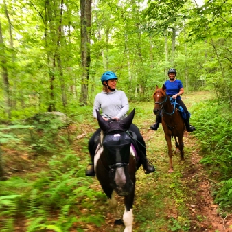 Dos jinetes a caballo galopando a través de un bosque verde vibrante.