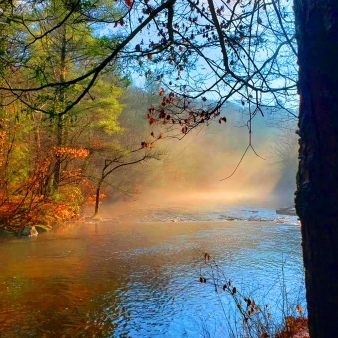 Un río brumoso que fluye a través de un bosque colorido.